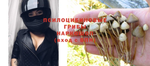 ешки Богородск