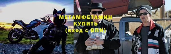 индика Богданович