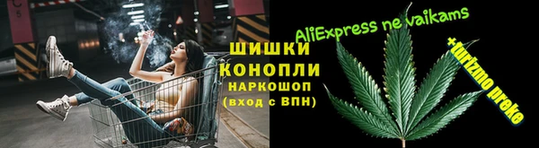индика Богданович