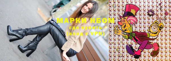 индика Богданович