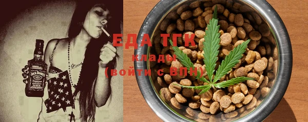 индика Богданович