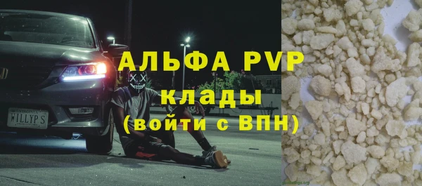 индика Богданович