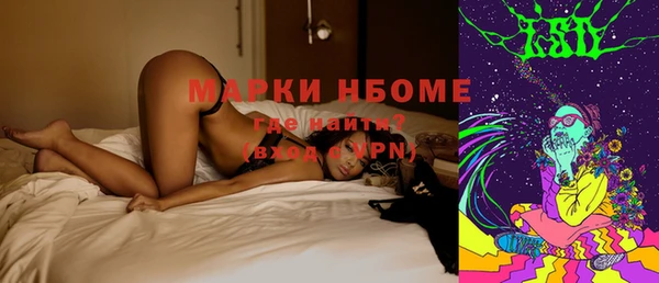 соль ск Бородино