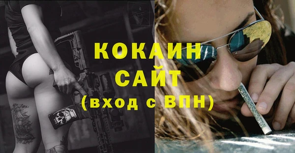 соль ск Бородино