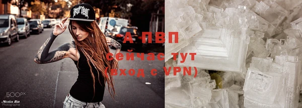 соль ск Бородино